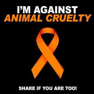 April is Prevention to Animal Cruelty Month - Barks N Purrs