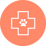 first aid for pets icon