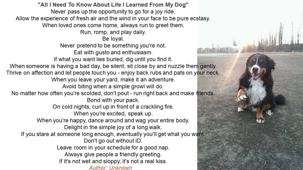 Poem - All I Need to Know About Life