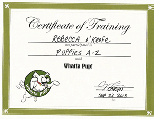 Certificate of Training Puppies A - Z