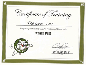 Certificate of Training Whatta Pup! Rebecca Lui