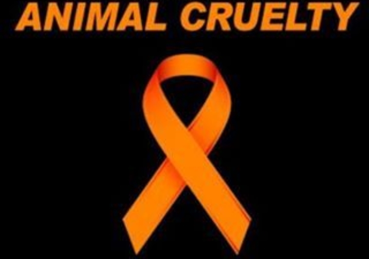 April is Prevention to Animal Cruelty Month